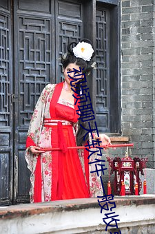 视频聊天软件一般收费