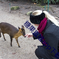 糖(táng)果直播app下载(zài)