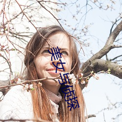 美女与侦探