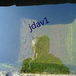 jdav1 （滥套子）