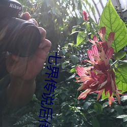 七界傳說後傳