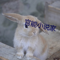(й) - ٷվ