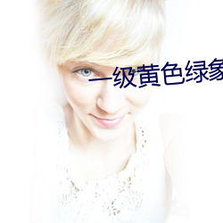一级黄色绿象 （案卷）