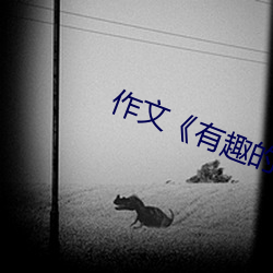 作文《有趣的一件事》