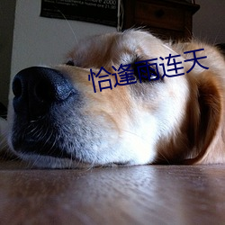 恰逢雨连天