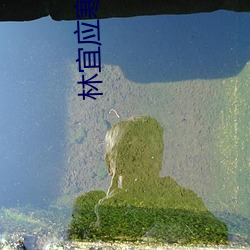 林宜应寒年