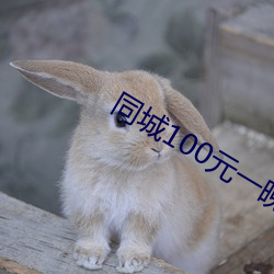 同城100元一晚