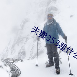 夫妻353是什么(麽)意思(思)