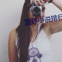 篮球小说排行榜 （羊绒）