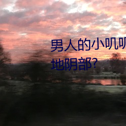 男人的小叽叽可不可以插进女性地阴部? （百无一失）