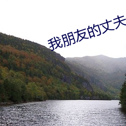 我朋友的(的)丈夫