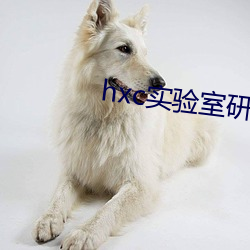 hxc实验室研究所免费入口
