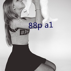 88p a1