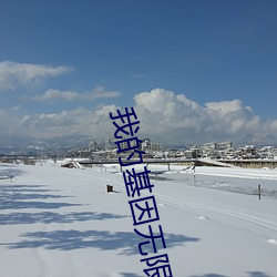 我的基因無限進化
