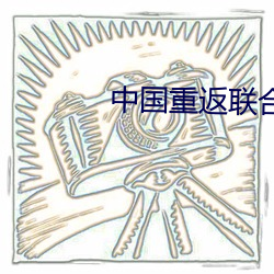 中国重返联合国文(文)章