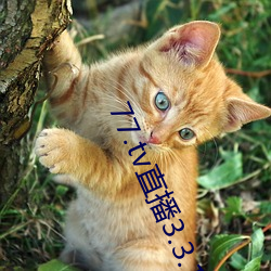 77.tv直播3.3.10.5