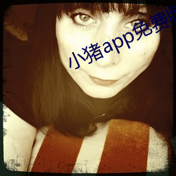 小猪(zhū)app免费版