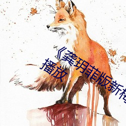 《龚玥菲版新梅瓶在线观看》国语在线播放