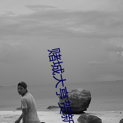赌城大亨贺新爱谁