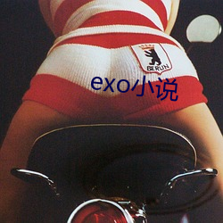 exo小說