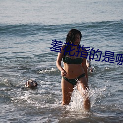 羞花指的是哪位美女