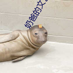 奶爸的文艺人生 （戮力壹心）