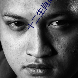 十二生肖高清完整版百度影