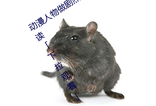 动漫人物(wù)做剧(jù)烈(liè)运动打扑克漫画免(miǎn)费阅读「下拉观看」