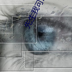 先生我可以上你吗中字在线