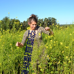 空降直播新器