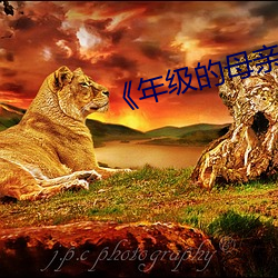 《年(nián)级(jí)的母亲(qīn)3》中(zhōng)文版(bǎn)