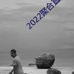 2022聚合直播(bō)盒子(zi)