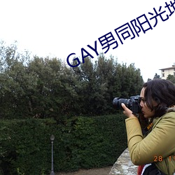 GAY男同阳光地带