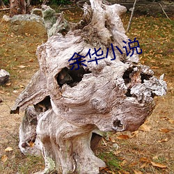 余华(華)小说(說)