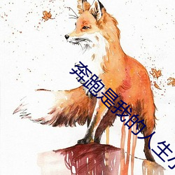 奔(奔)跑(跑)是(是)我(我)的人生(生)小(小)三(三)