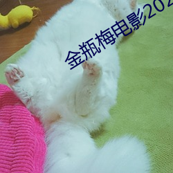 金(jīn)瓶梅电(diàn)影2023