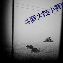 尊龙凯时-人生就是搏!