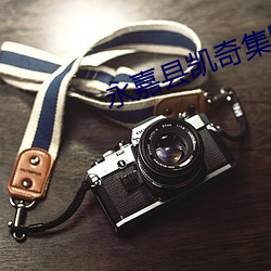 永嘉縣凱奇集團