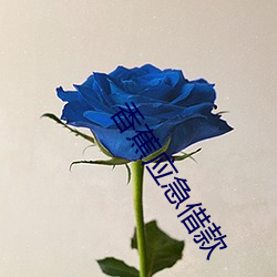 香蕉應急借款