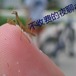 不收费(費)的夜(夜)聊app
