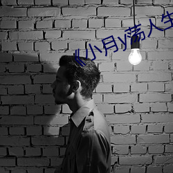 《小月(月)y荡人(人)生》