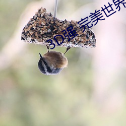 3D强 完美世(世)界(界)人物v2.12