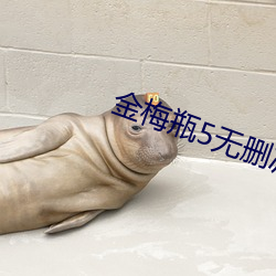 金梅瓶5无删减版在线观看(看)