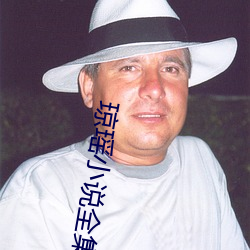 琼瑶(瑤)小说全(全)集(集)
