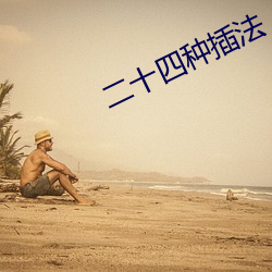 二(二)十四种插法