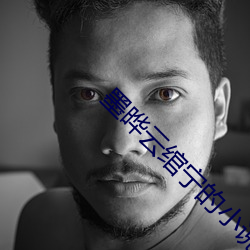 墨晔云绾宁的小说