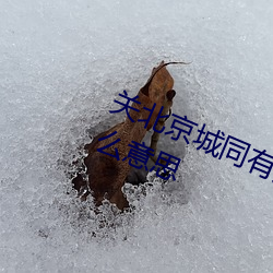 关北京城同有月琅华共白此(cǐ)间雪是什么意思