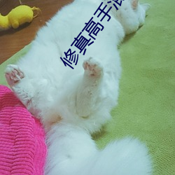 修真高手混都市