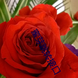 蜜芽跳轉接口