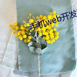 手机web开发软件 （戏目）